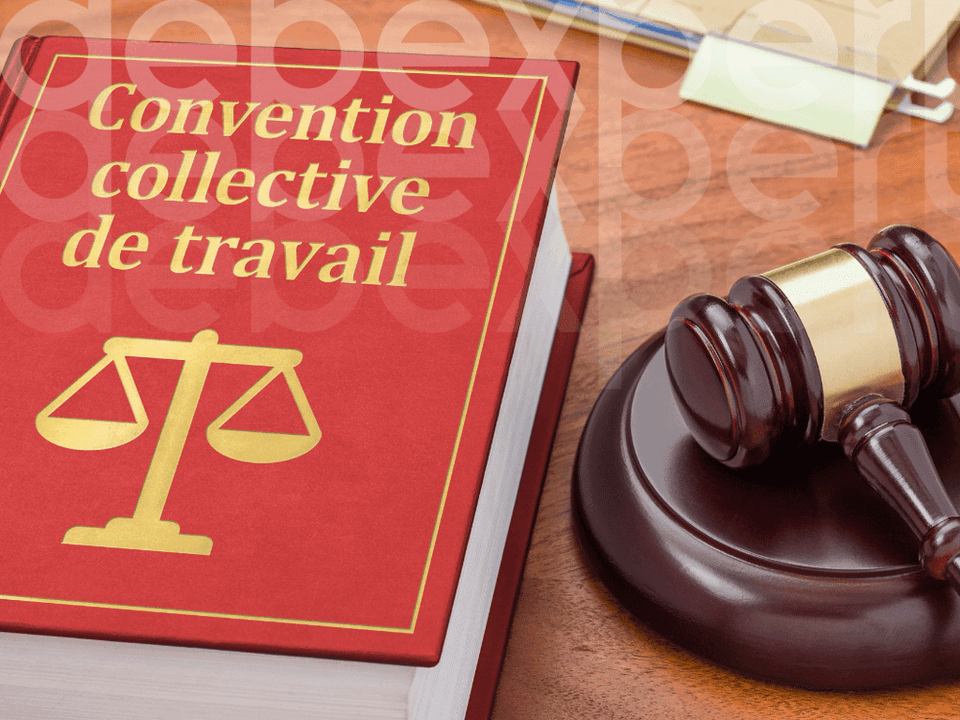 65263daf34f7d6a6cec2f945_A-brown-judge-s-hammer-and-a-book-on-the-table.png